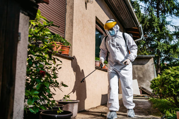 Best Pest Prevention Services  in Harwood Heights, IL