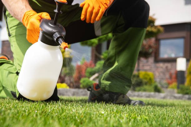Pest Control Cost in Harwood Heights, IL