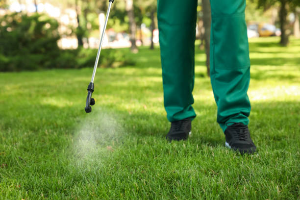 Best Wasp Removal Services  in Harwood Heights, IL
