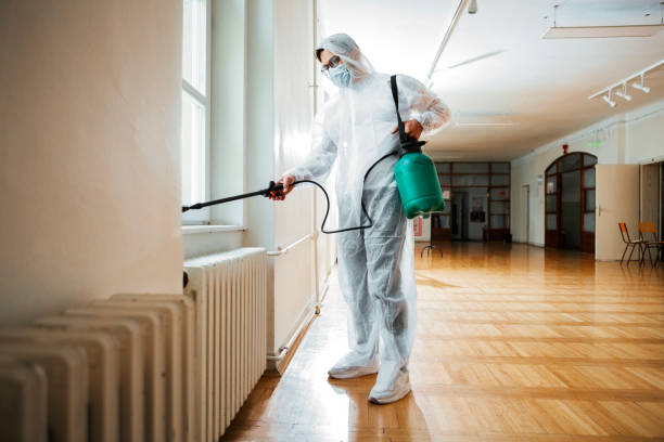 Best Insect Control  in Harwood Heights, IL