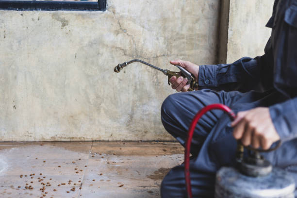 Best Pest Inspection Near Me  in Harwood Heights, IL